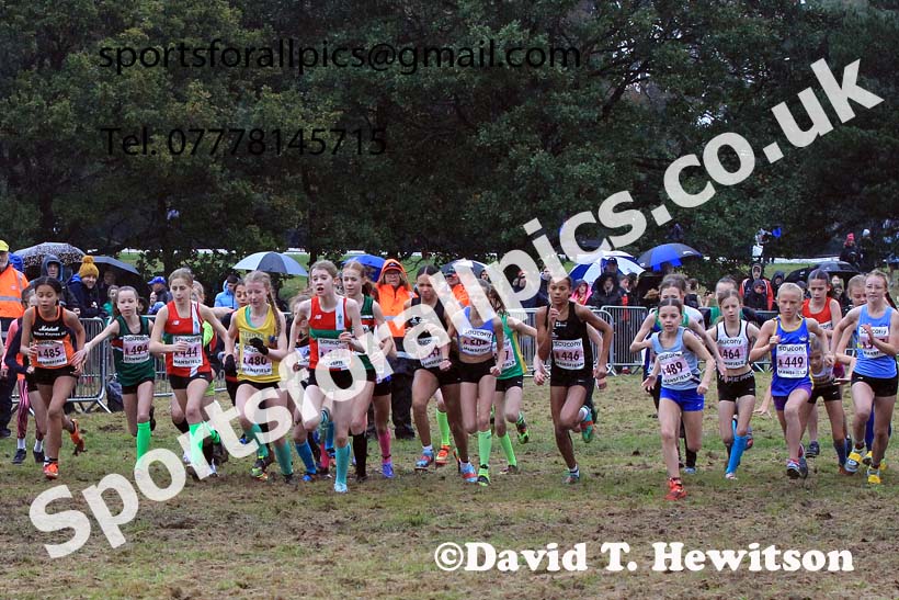Girls Under-13s 2023 National Cross Country Relays, Berry Hill Park, Mansfield.  Photo: David T. Hewitson/Sports for All Pics